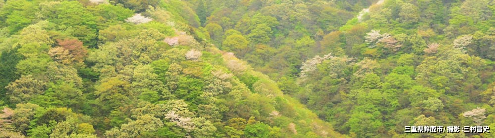 三重県鈴鹿市/ 撮影 : 三村昌史
