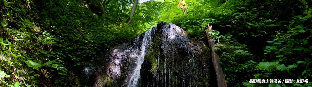 雑魚川の滝(長野県)/ 撮影 : 永野裕