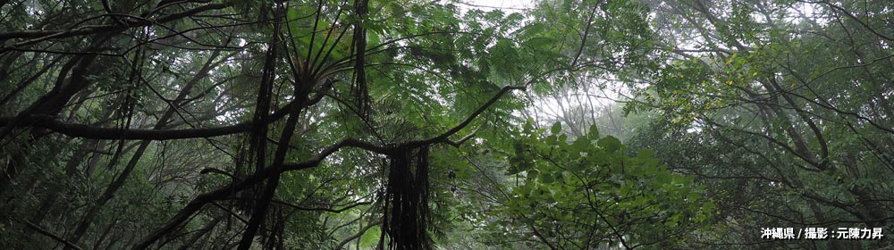 沖縄県/ 撮影 : 元陳力昇