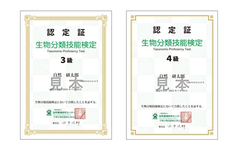 ３級４級認定証見本