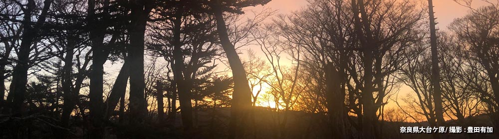 奈良県大台ケ原/ 撮影 : 豊田有加